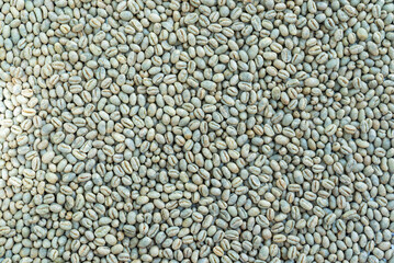 peaberry green bean coffee, specialty arabica coffee beans for roasting.