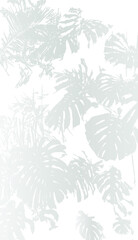 Fototapeta premium shadows, overlay effects mock up, leaf of plants, natural interior light, vector illustration