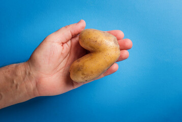 Man holds heart shaped ugly potato on blue background. Ugly vegetables - obrazy, fototapety, plakaty