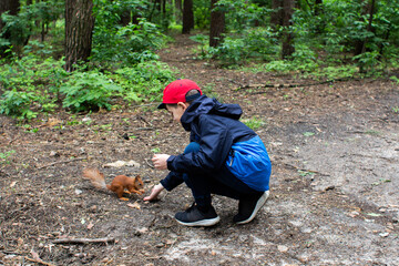 boy feeding a squirrel in the forest