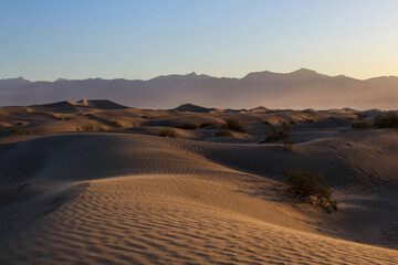 Fototapeta na wymiar Warm Light from Sunrise Over Mesquite Flat Sand Dunes in Death Valley National Park