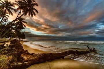 Beautiful seascape with long exposure effect on cloudy sunset sky and tree trunk  in water
