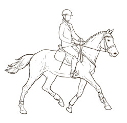 Horseback rider outline drawing on white, hand drawn illustration on equestrian sports theme, horse and young female sketch