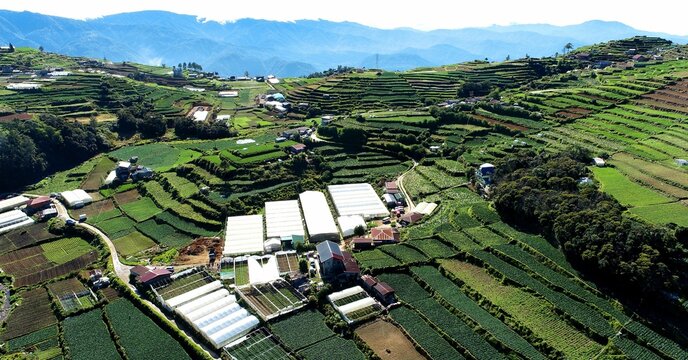 Beautiful view of houses in a green agricultural field in Atok, Benguet, Philippines