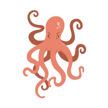 Hand drawn octopus isolated on white background. Vector illustration of sea animal. Cartoon Kraken clipart, print