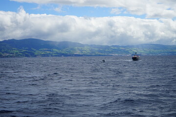 Boat and jumping dolphin over Sao Miguel island, Azores, Portugal