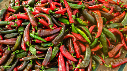 Harvest of red hot pepper lies on a pile. Organic vegetables. Autumn harvesting concept. Agriculture crops. Selective focus