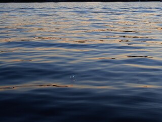 Blown Bubbles Floating on Water