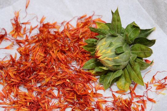 Saffron On Black Background , beautiful background digital image