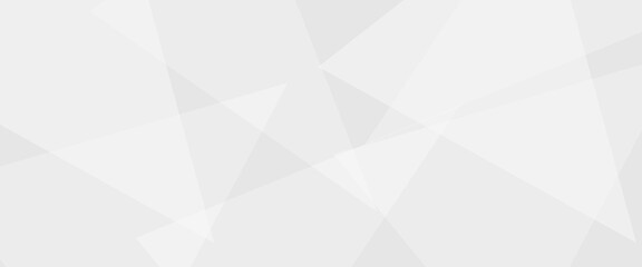 Abstract background with gray background with texture, white abstract modern background. Geometry shine and layer element vector for presentation design. Decorative web layout or poster, banner.design