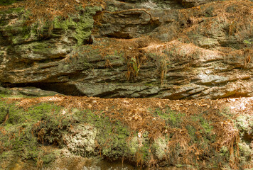 Uniusual sandstone rock formations at The Edge, Alderley Edge, Cheshire, UK