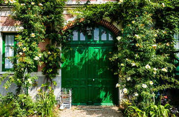 Fototapete bei efototapeten.de bestellen   