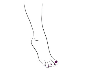 Beautiful woman leg and feet with nail polish isolated on white background - vector illustration