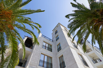Fototapeta na wymiar View of a luxury residential building through palm trees, housing concept