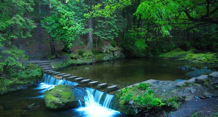 Stepping Stones & Waterfall at Tollymore Forest - obrazy, fototapety, plakaty