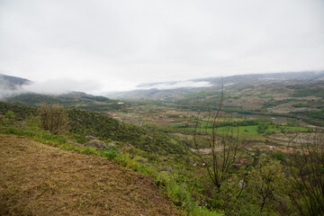 Green valley in a foggy day