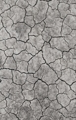 cracked earth texture