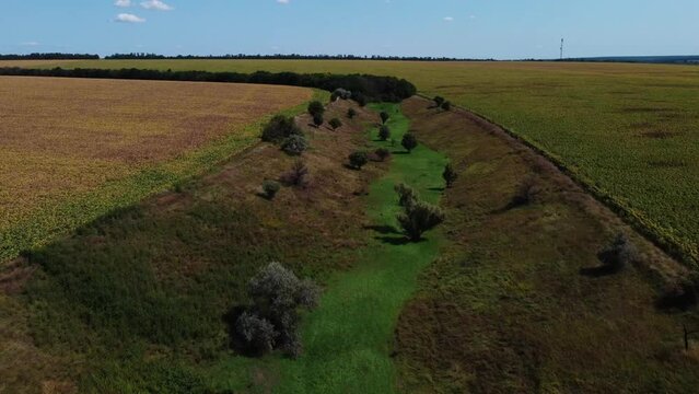 Beautiful view of green fields in Kirovohrad Oblast, Ukraine