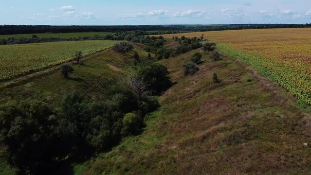Beautiful view of green fields in Kirovohrad Oblast, Ukraine