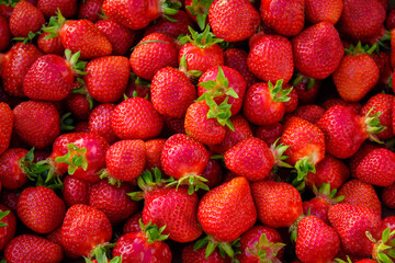 Strawberries background. Strawberry. Food background.