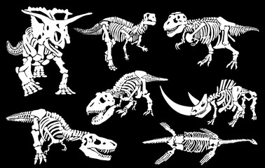 Graphical set silhouettes of dinosaur skeletons isolated on black background,vector engraved illustration © Алексей Воробьёв