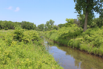 Fototapeta na wymiar Middle fork of the North Branch of the North Branch of the Chicago River at Middlefork Savanna Forest Preserve in Lake Forest, Illinois