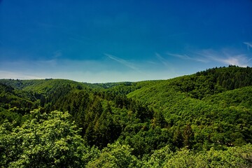 Fototapeta na wymiar Grüne Bäume und blauer Himmel