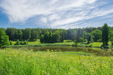 A meadow with flowers and a blue lake against the backdrop of green trees and a blue sky. Landscape, park, recreation, leisure, relaxation. Soft focus.