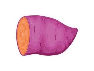 Purple sweet potato. Okinawa yam sweet potato. Healthy food concept.