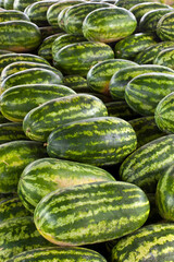 Many watermelons for sale in the market