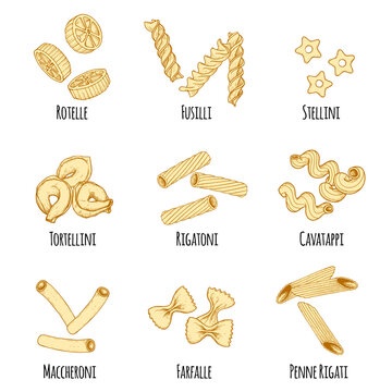 Hand drawn italian pasta set. Different types of traditional italian cuisine in sketch style. Rotelle, fusilli, stellini, tortellini, rigatoni, cavatappi, maccheroni, farfalle, penne rigate.