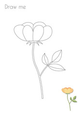 Simple Outline Stroke Flower Blossom Shape Photo Drawing Skills For Kids A3/A4/A5 suitable format size. Print it by yourself at home and enjoy!