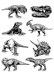 Vector big collection of dinosaurs and varans , graphical elements isolated on white