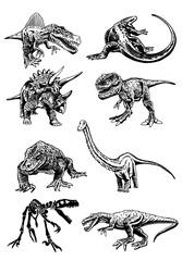 Vector big collection of dinosaurs and varans , graphical elements isolated on white