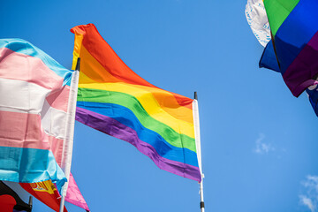 Multi-colored flags for gay pride and LGBT+ during gay pride week in the city of Madrid