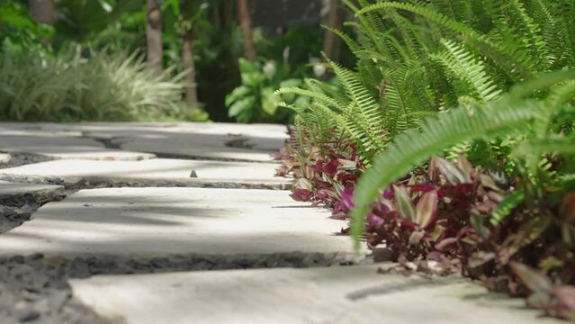 close up shot of house ground garden with beautiful white stone path

