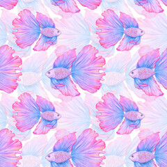 Betta splendens seamless pattern. Hand drawn illustration. Fighting fish. Blue and pink. Color sketch. Colored pencil drawing.