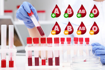 Images of drops representing different blood types and scientist working with samples in laboratory...