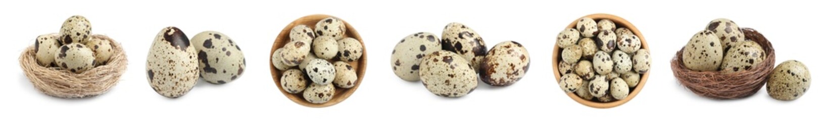 Set with quail eggs on white background. Banner design