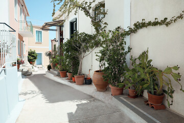 Fototapeta na wymiar City street with beautiful buildings and plants on sunny day