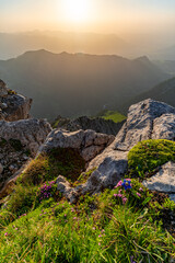 Daumengruppe im Allgäu