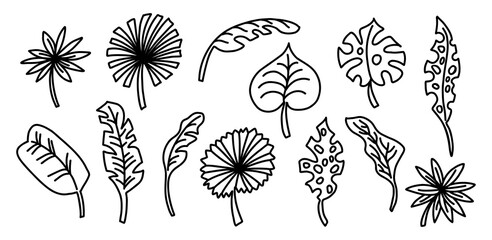 Set with exotic tropical leaves of different shapes in the doodle style © RitaPatternson