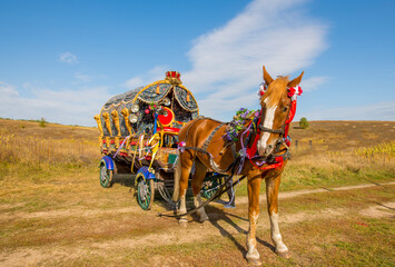 a horse with a brightly decorated wagon in a field