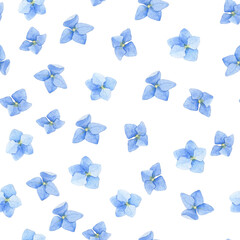 seamless watercolor pattern with blue hydrangea flowers on a white background. cute print for kids, for girls.