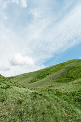 Fototapeta premium mountains nature and green fields
