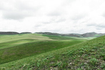 Fototapeta premium mountains nature and green fields