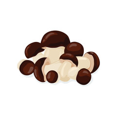 Porcini mushrooms vector illustration. Boletus edulis isolated on a white background. Autumn mushroom collection season.