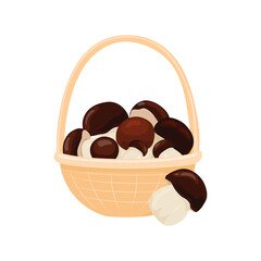 Porcini mushrooms vector illustration. Harvested fresh Boletus mushrooms in a basket. Autumn mushroom collection season.