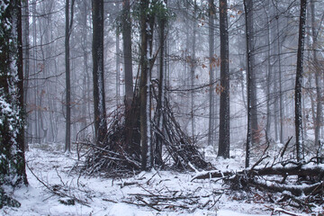 Branches piled up around trees on a cold, snowy foggy fall day in the Palatinate forest of Germany.