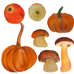 autumn illustration watercolor set for design - beautiful juicy ripeapple, different illustrations of mushrooms, bright orange pumpkins. Hand drawn, isolated. For card design, invitation, scrapbooking